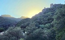 U tempu in Corsica