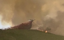 Cagnanu - Le feu fixé après avoir parcouru 109 hectares