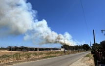 Aleria : un incendie se déclare au lieu-dit Mavela, plus de 30 hectares déjà parcourus