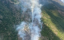 Venaco : Un incendie de végétation en cours au-dessus du village