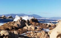 U tempu in Corsica