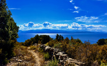A màghjina - In a machja di Canari, a strada di u mare