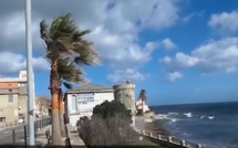 Aires marines protégées : Oui à la création  du Parc naturel marin du Cap Corse et de l’Agriate