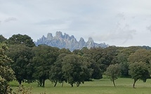 U tempu in Corsica