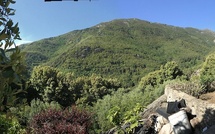 U tempu in Corsica