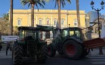 Colère des agriculteurs : suivez les manifestations prévues en Corse ce jeudi