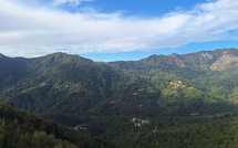 A màghjina - Alisgiani, una valle di verde è di luce