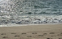 U tempu in Corsica
