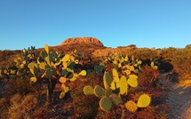 A maghjina - U Far West di l’Agriate