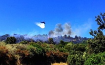 Ocana : Deux hectares détruits par un incendie