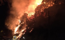 Ajaccio : Un violent incendie a détruit 5000 m2 de maquis à l'entrée de la ville