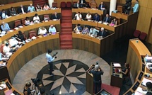 Sécurité publique et intégrisme islamiste : L'assemblée de Corse approuve la résolution prioritaire 