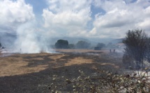 Prunelli-di-Fium'orbu : Début d'incendie au lieu dit Chiarata