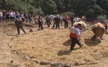 Fête de la terre et savoir faire ancestral ce 7 août à Corrano