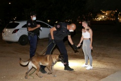 Contrôle drogue gendarmerie Ajaccio