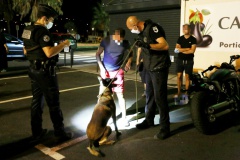 Contrôle drogue gendarmerie Ajaccio