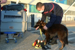 pompiers Corses Nice.3