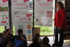 centre de loisir de baléone 005