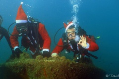 Plongée de Noël