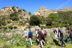 Ghjuventù Indipendentista