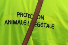 Contrôles port Bastia