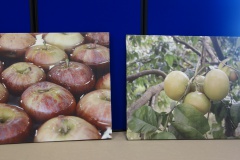 Trinnecu assai è manghju di tuttu