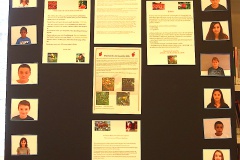 Trinnecu assai è manghju di tuttu