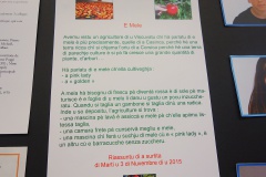 Trinnecu assai è manghju di tuttu