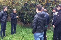 Formation San Giuliano