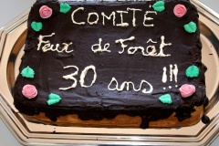 « Feux de Forêts » de Speloncato