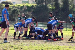 Bastia XV