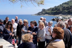 Nurseries Purticciolu