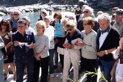 Nurseries Purticciolu