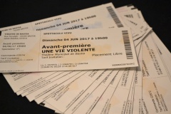 Une Vie Violente