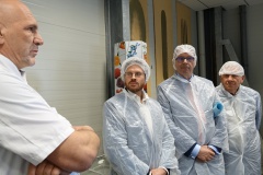 "L'Isle aux desserts" José Salge