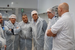 "L'Isle aux desserts" José Salge