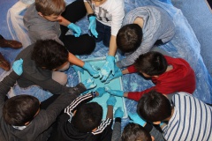 Trophées scientifiques