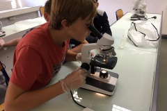 Chercheur à l'école