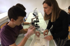 Chercheur à l'école