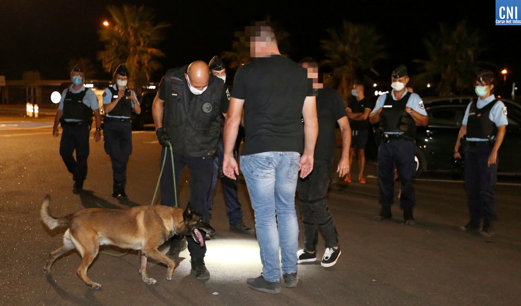 Contrôle drogue gendarmerie Ajaccio