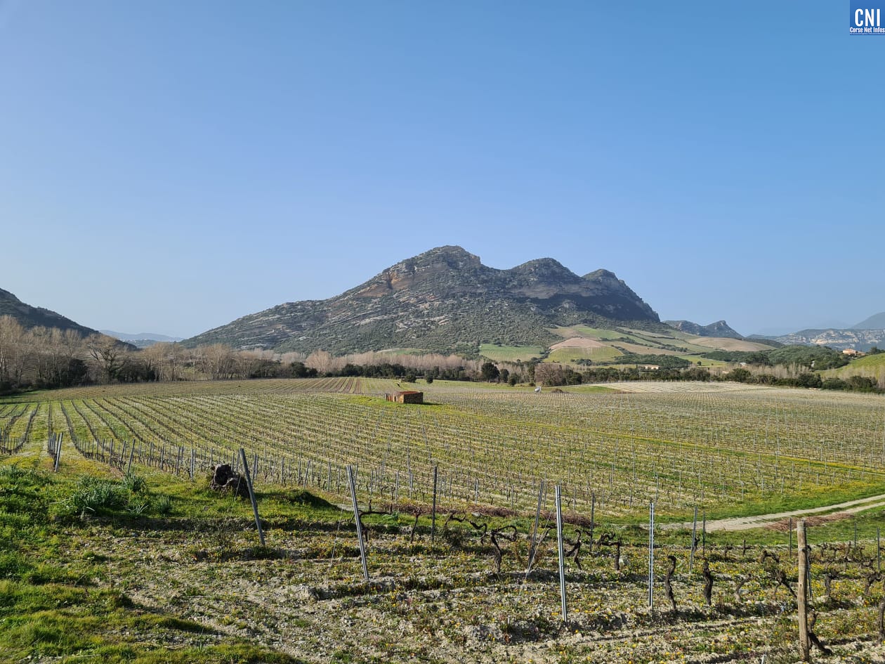 153310145_463712234655080_518907728437044336_n