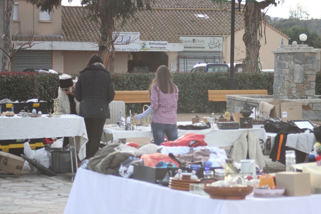 vide grenier les gazelles sarrola 015