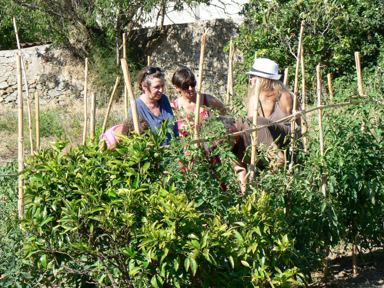 Jardin Santa Reparata
