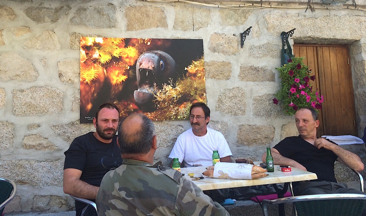 Primi Scontri Fotografichi di Livia