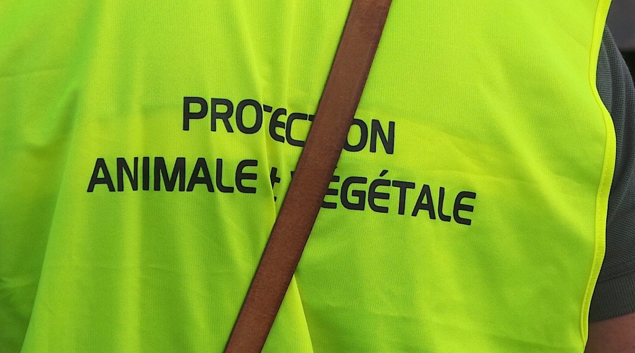 Contrôles port Bastia