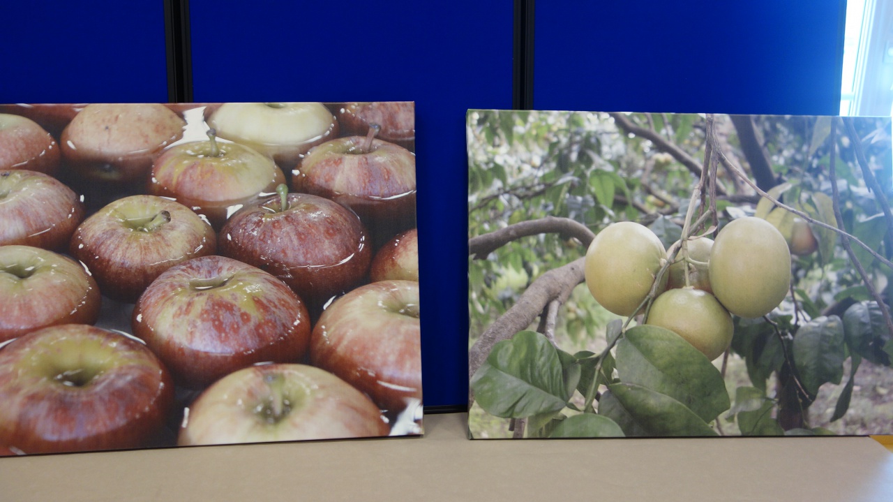 Trinnecu assai è manghju di tuttu