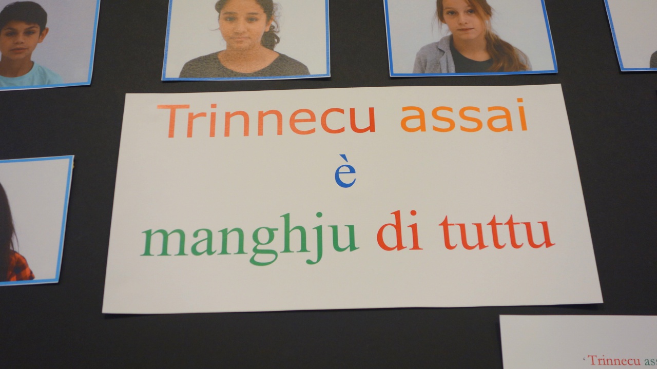 Trinnecu assai è manghju di tuttu