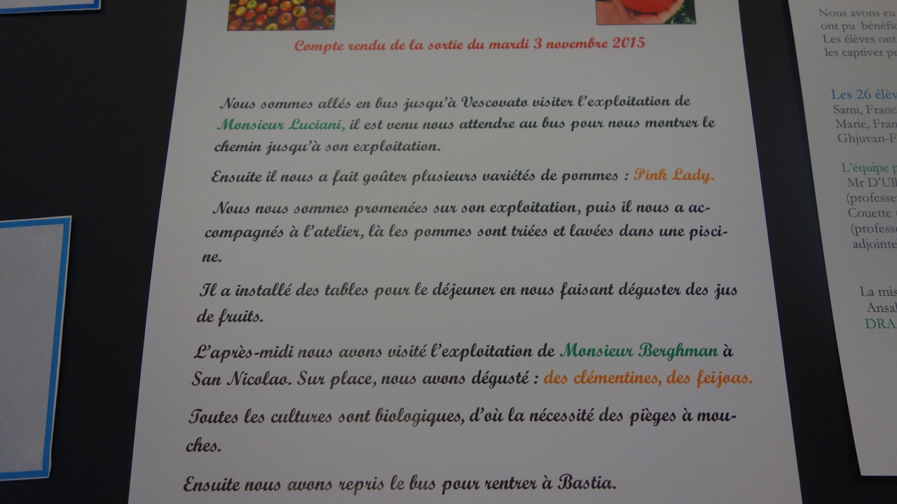 Trinnecu assai è manghju di tuttu