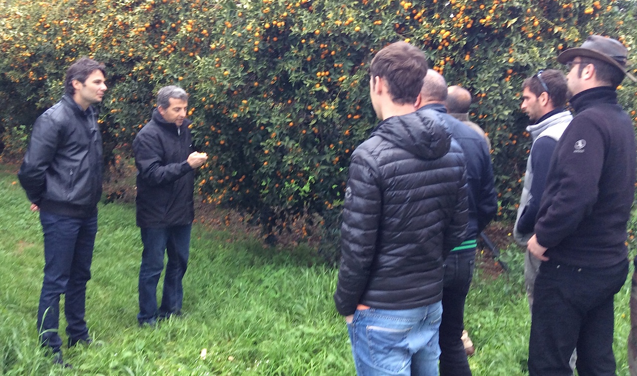 Formation San Giuliano