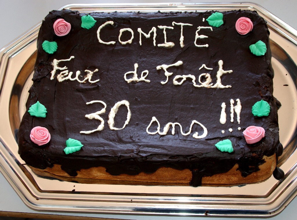 « Feux de Forêts » de Speloncato